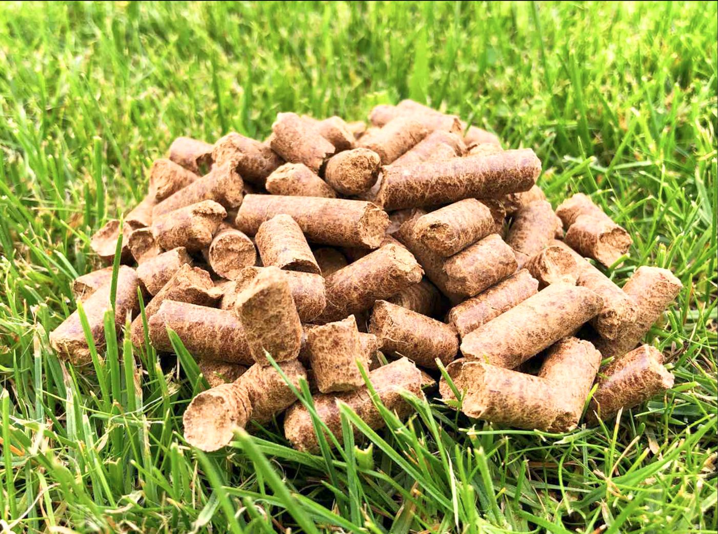 Wood pellets on grass