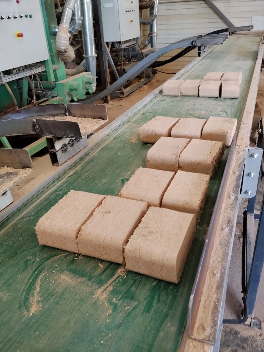 Beech RUF briquettes coming off the press line