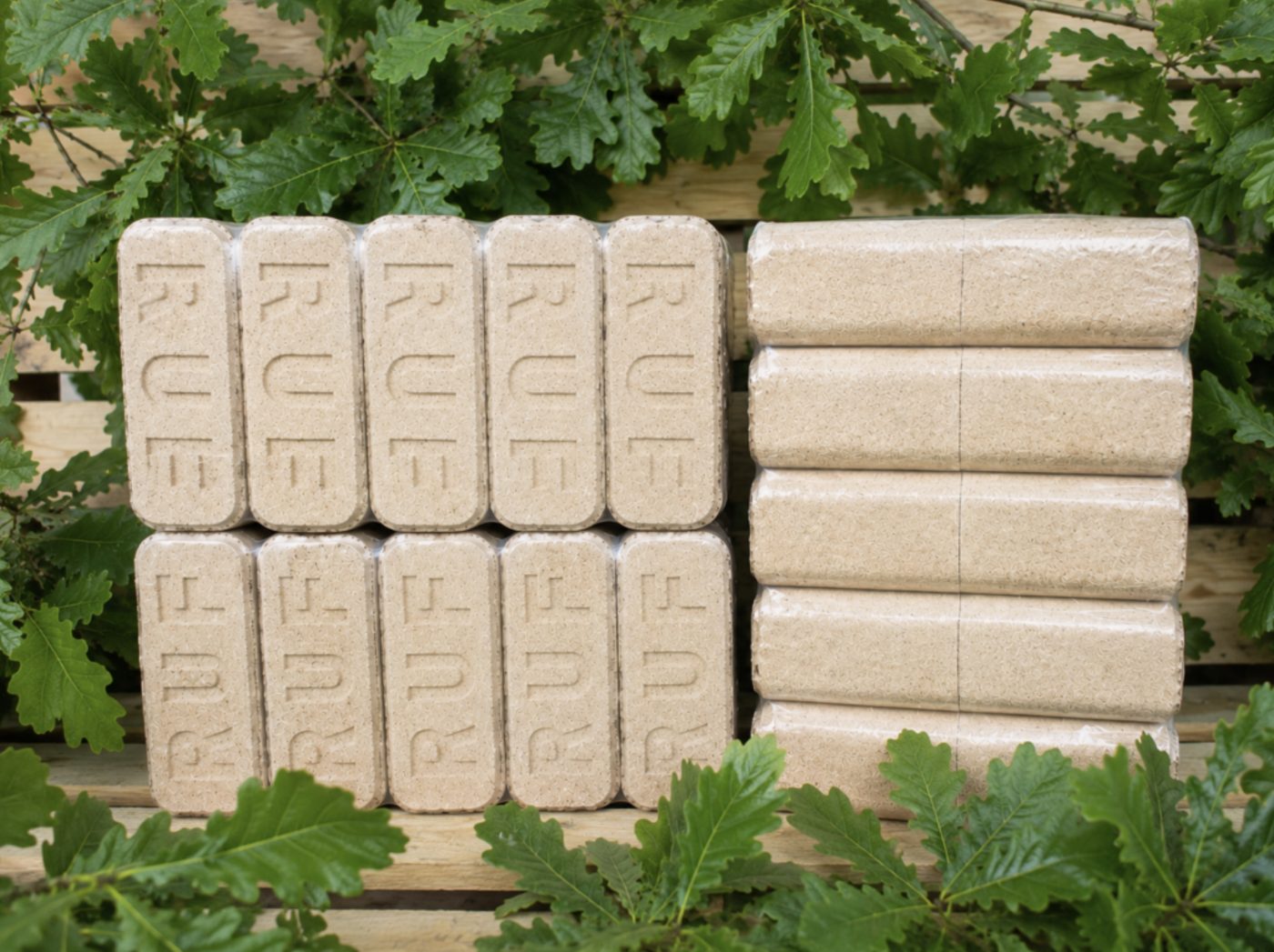 RUF briquettes and pellet packs framed by oak leaves