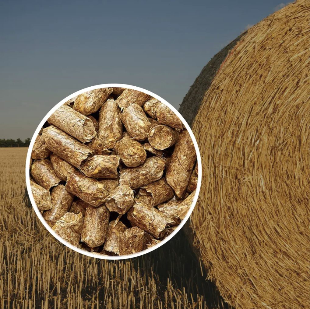 Wheat straw pellets and a straw bale in a harvested field