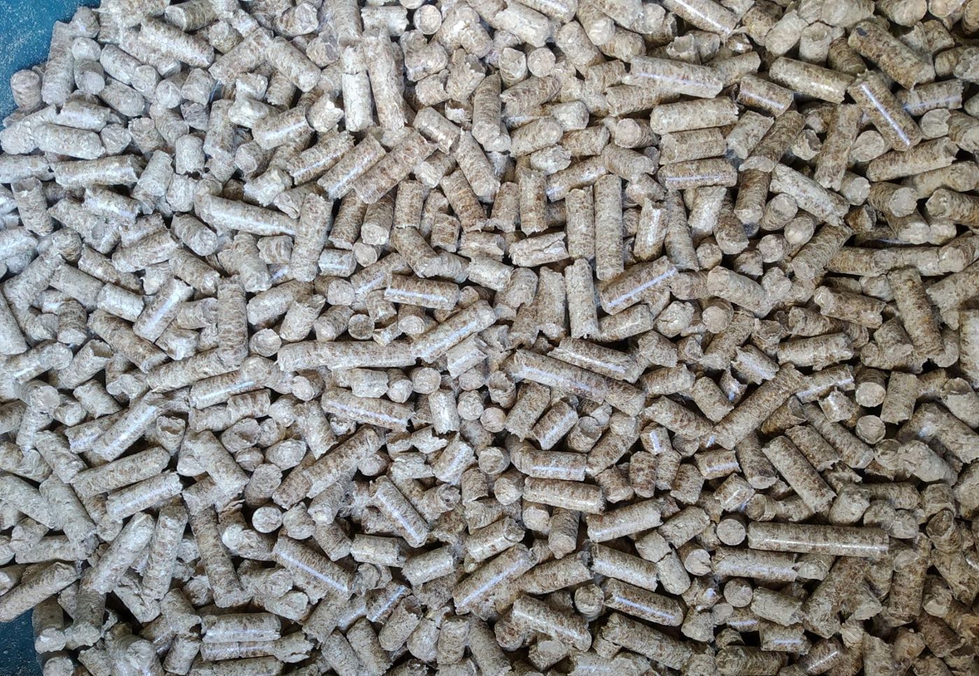 Close-up of light oak wood pellets